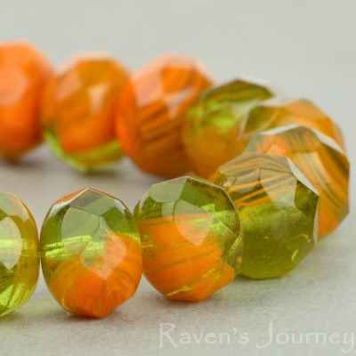 Rondelle (9x6mm) Rust Green Mix Opaque Transparent