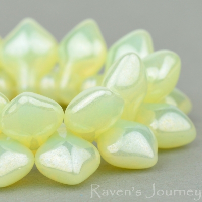 Spade (11x8mm) Yellow Uranium Opaline with Luster