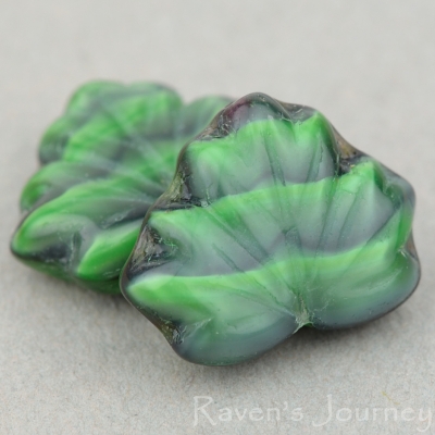Maple Leaf (13x11mm) Green Jet Tiger's Eye-osx