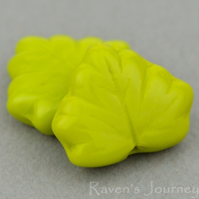 Maple Leaf (13x11mm) Gaspeite Opaque-osx
