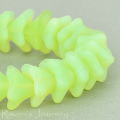 5 Point Bellflower (6x9mm) Light Green Opaline Matte
