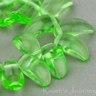Petal (10x5mm) Green Transparent-osx