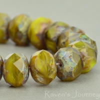 Rondelle (9x6mm) Green Brown Mix Opaque Transparent with Picasso