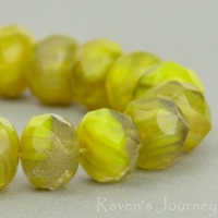 Rondelle (9x6mm) Green Brown Mix Opaque Transparent