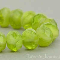 Rondelle (9x6mm) Ivory Olivine Opaque Transparent