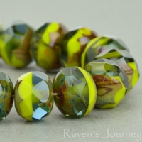 Rondelle (9x6mm) Gaspeite Olivine Mix Opaque Transparent with Picasso