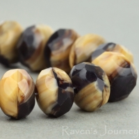 Rondelle (9x6mm) Ivory Garnet Mix Opaque Transparent-osx