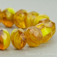 Rondelle (9x6mm) Amber Gaspeite Mix Opaque Transparent