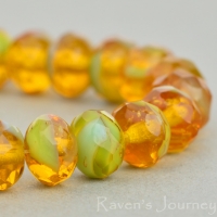 Rondelle (7x5mm) Turquoise Amber Mix Opaque Transparent