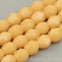 Round Faceted (4mm) Ivory Opaque
