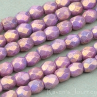 Round Faceted (3mm) Purple Opaque with Luster