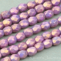 Round Faceted (3mm) Purple Opaque with Luster-osx