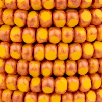 Faceted Seed Bead  6/0 (4x3mm) Marigold Yellow Opaque with Antique Copper Finish