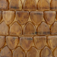 Triangle (9x9mm) Amber Transparent with Matte Picasso Finish